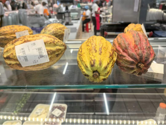 科特迪瓦：与加纳可可收购价差拉大至75% 跨境走私风险陡增-华闻时空