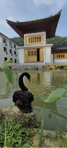图片[8]-升玄观赋-华闻时空